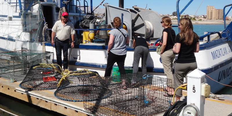 Testing alternative fishing gear (© WWF-Mexico)